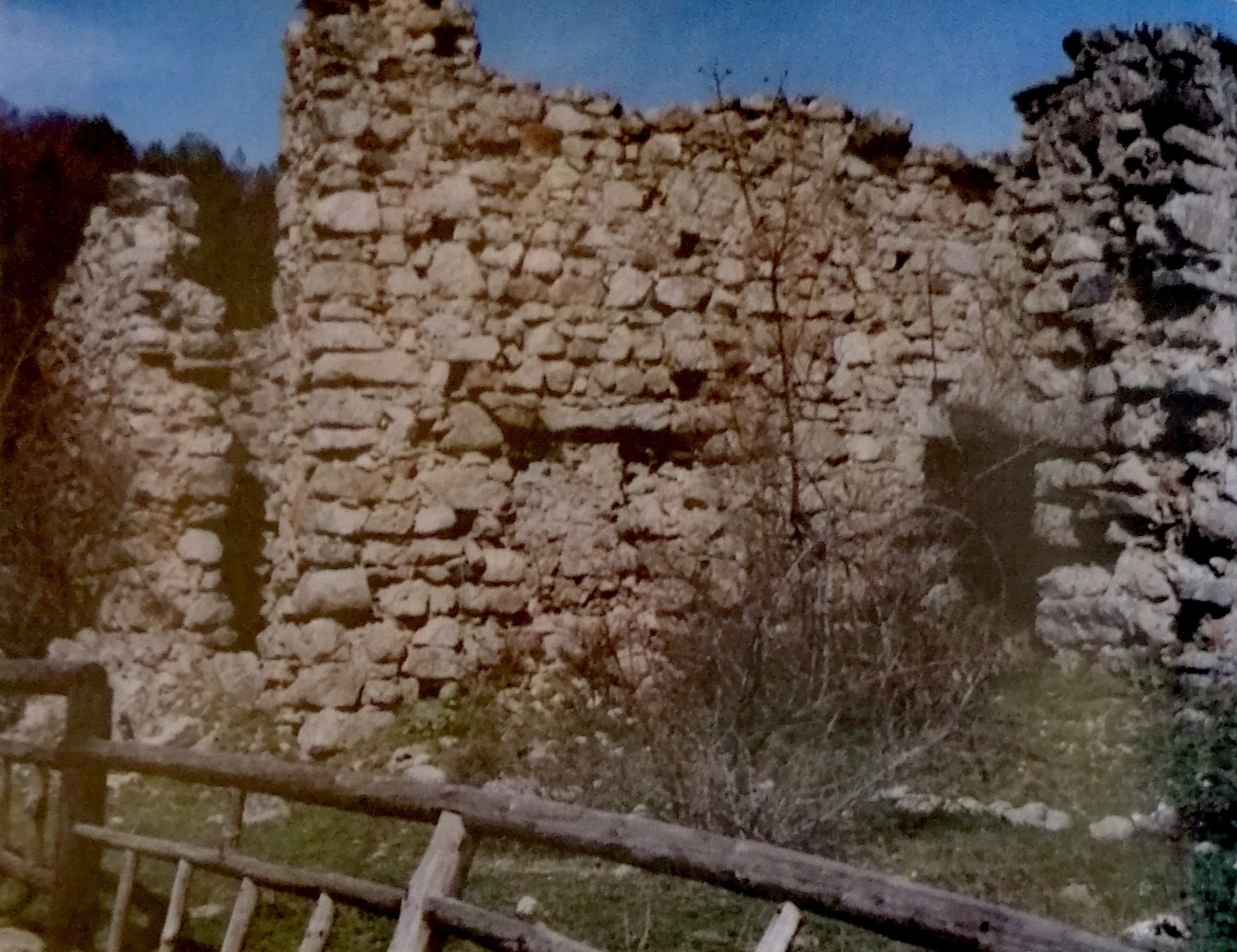 GEP 2020, Passeggiate patrimoniali in Calabria - Alla scoperta dei ruderi del convento di Pollitrea